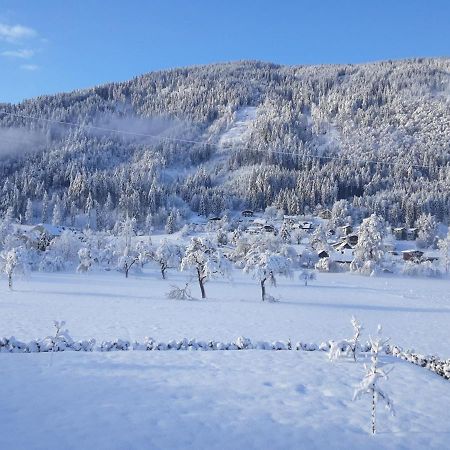 Apartment-Ferienwohnung 3 Treffen Am Ossiachersee מראה חיצוני תמונה