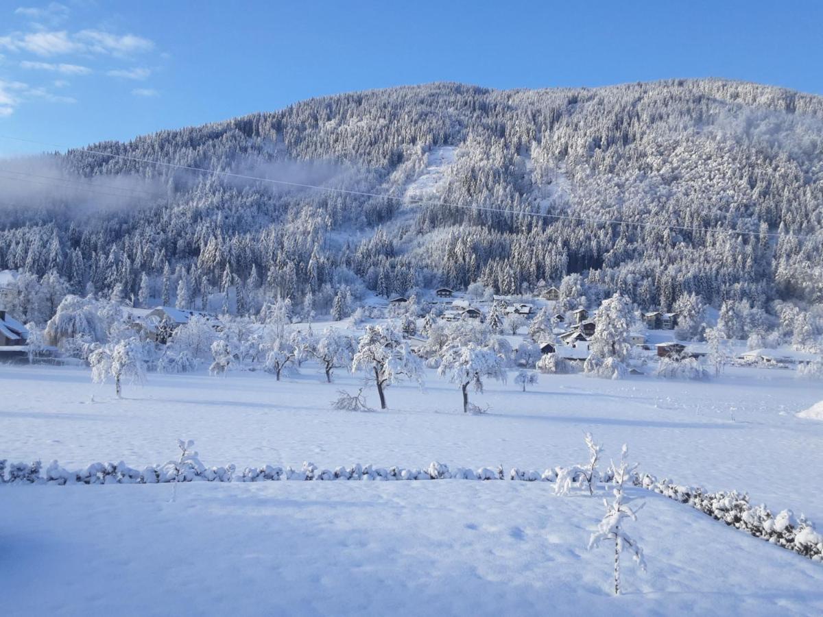 Apartment-Ferienwohnung 3 Treffen Am Ossiachersee מראה חיצוני תמונה